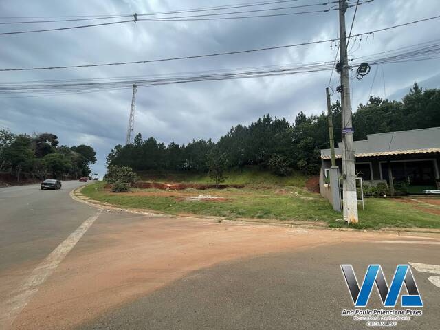 Lote 05