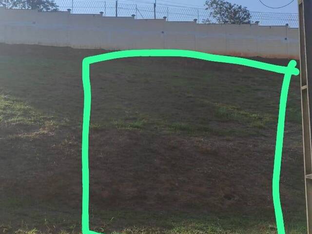 Frente
