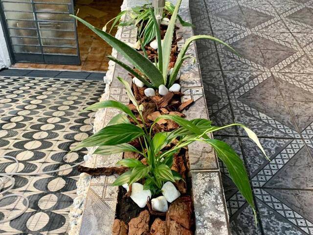 Casa para Venda em São Paulo - 5